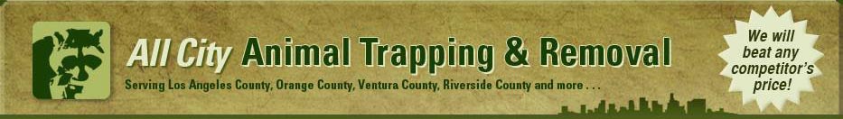 Wildlife Animal Removal Ventura County